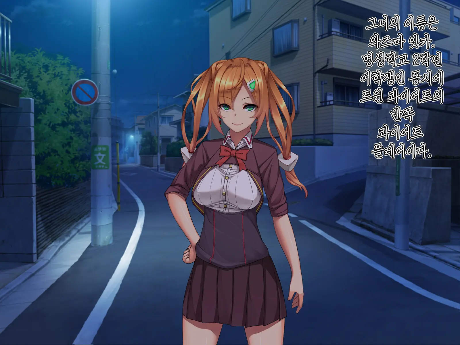 Twin Quiet II -Kasou Shinshoku Jaaku Ni Somaru Koku-